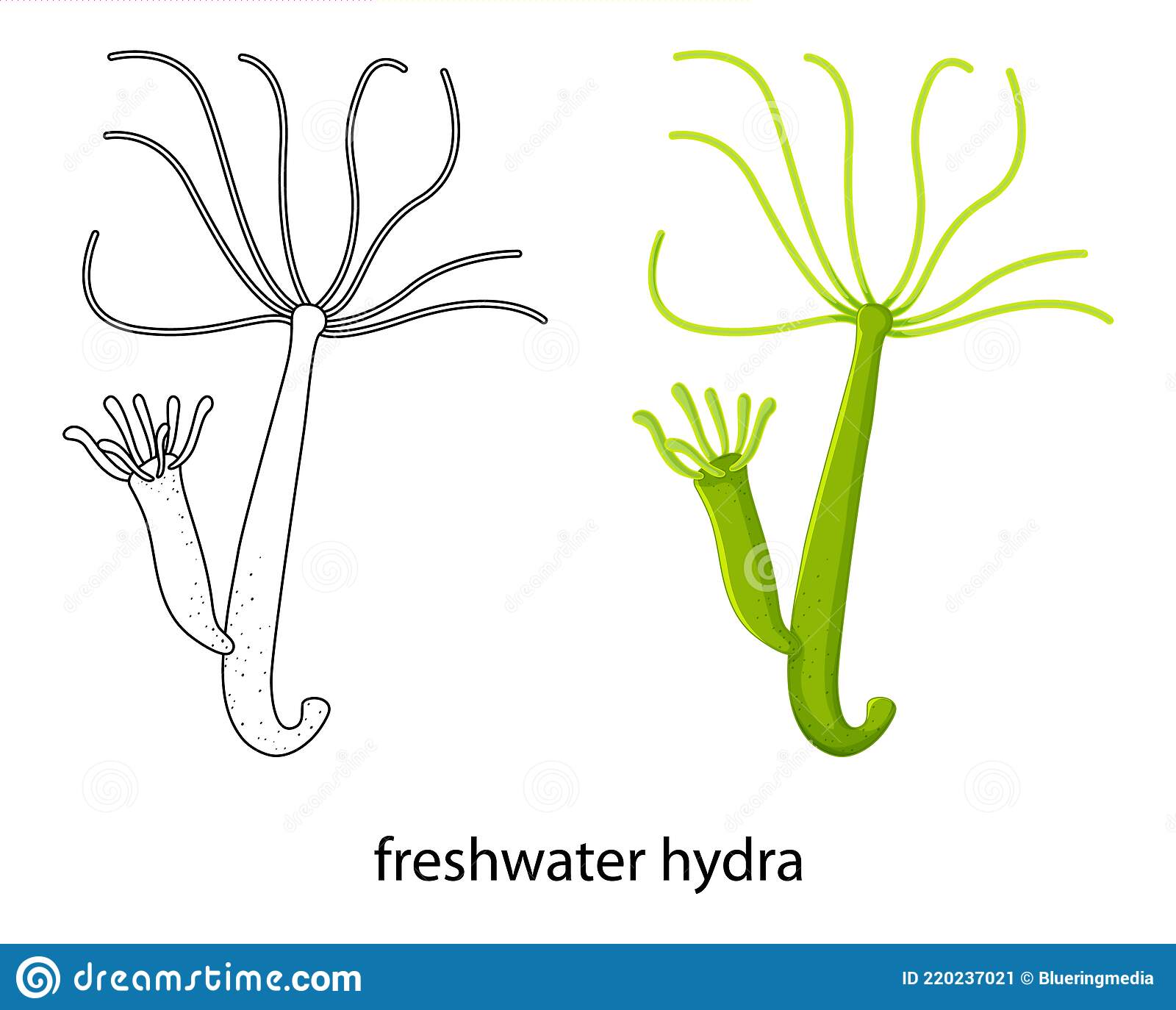 Hydra гидра сайт